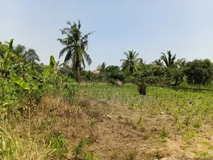 1 Plot of Land for Sale in Awutu Breku( Winneba Road) Registered
