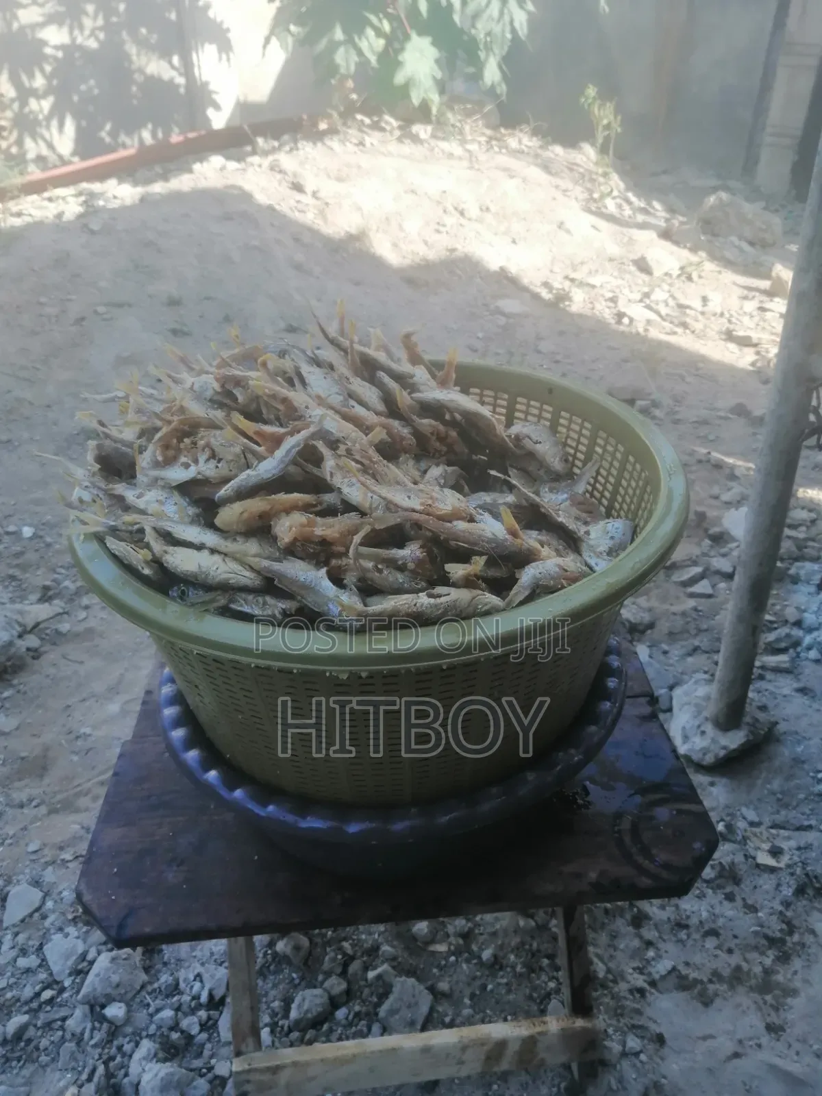 Fried Fish Order