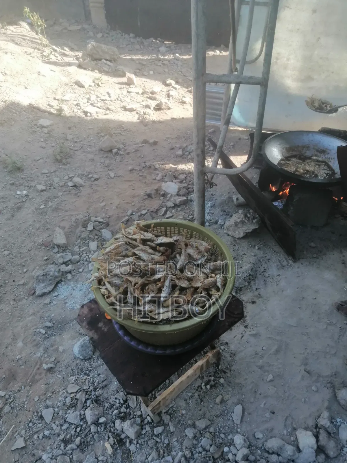 Fried Fish Order