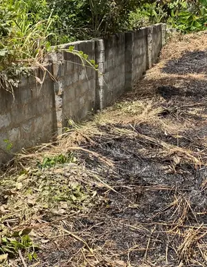 70x100ft Fenced Plot for Sale at Dodowa - Family Land