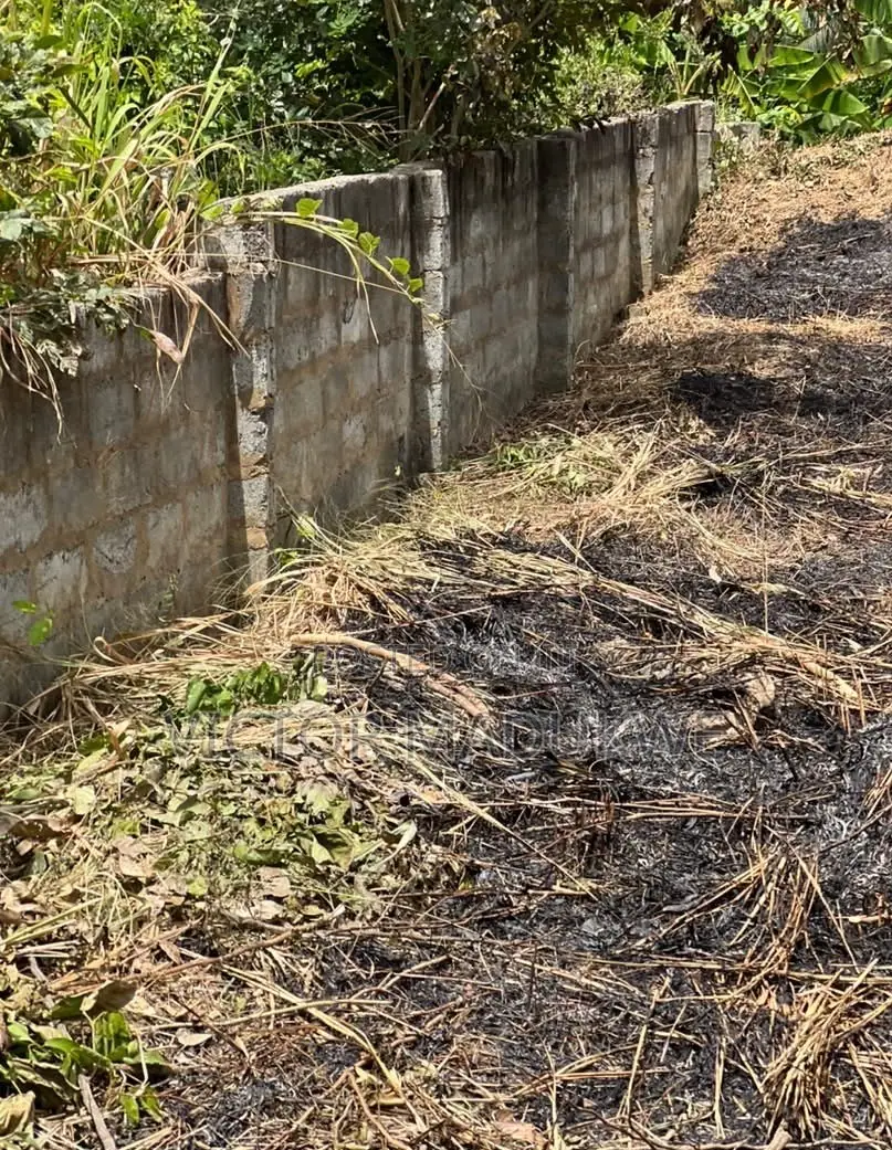 70x100ft Fenced Plot for Sale at Dodowa - Family Land