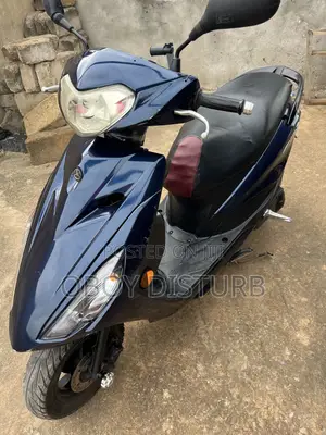 Yamaha 2010 Gray