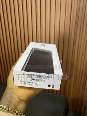 New Google Pixel 6 Pro 128 GB Gray