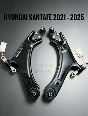 Hyundai Santafe 2021-2025 Lower Arm Pair