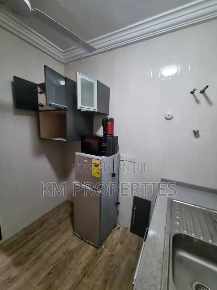 Furnished 1bdrm Apartment in West Legon for rent