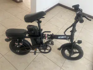 Electric Bike