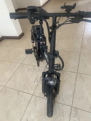 Electric Bike