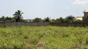 Two Plots of Title Land for Sale at Amrahia Walled and Gated
