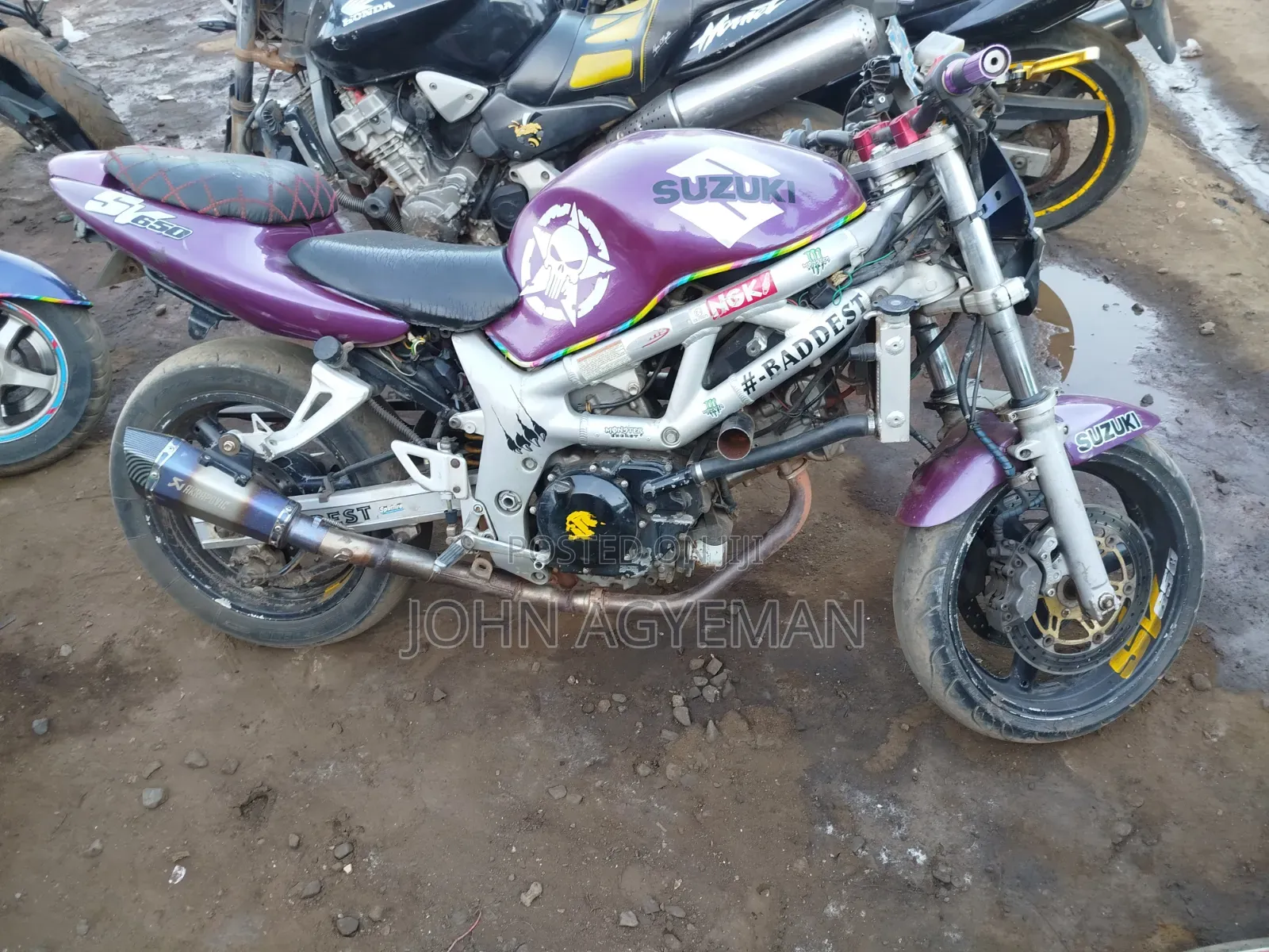 Suzuki SFV650 1998 Purple