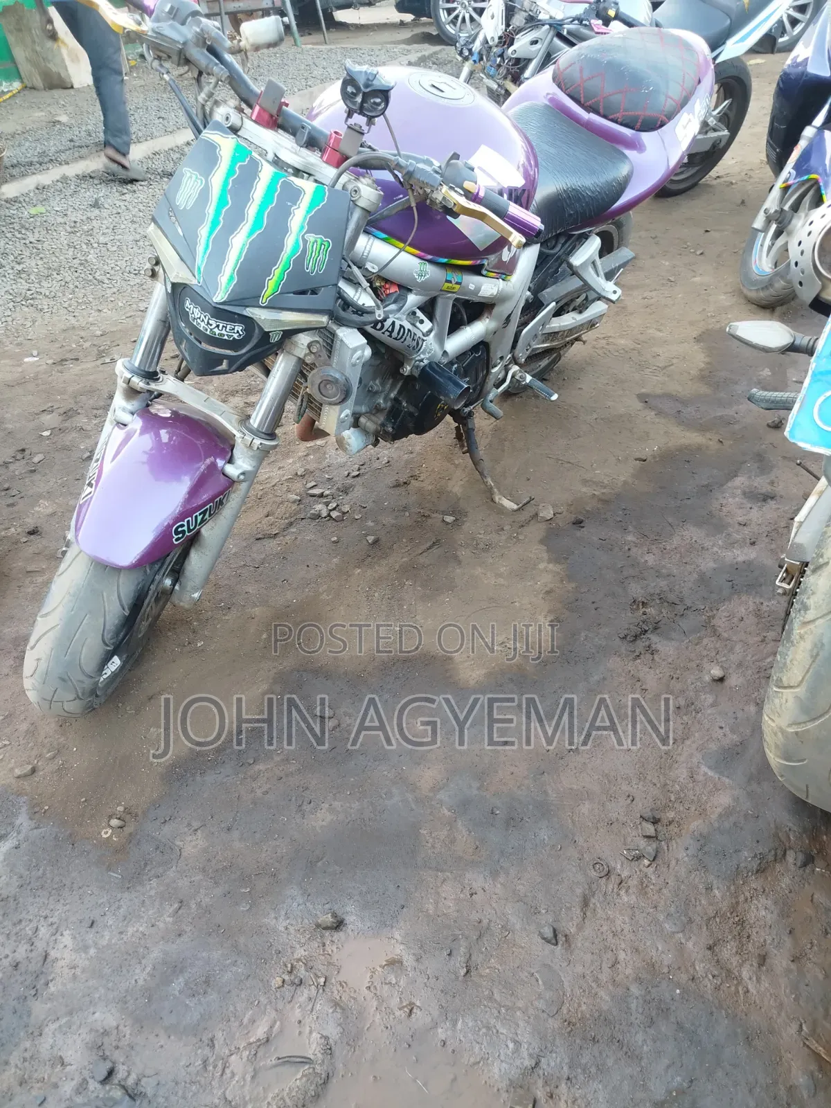 Suzuki SFV650 1998 Purple
