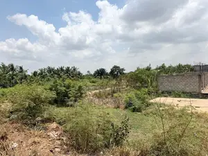 Title Roadside Land for Sale at Dodowa