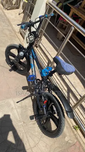 BMX Stunt Bike