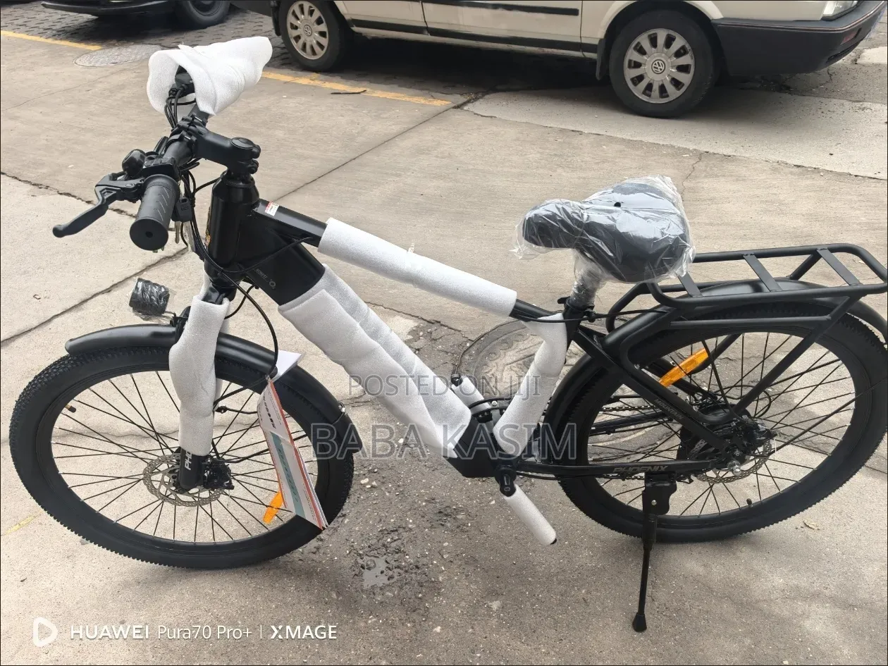Electric Bike