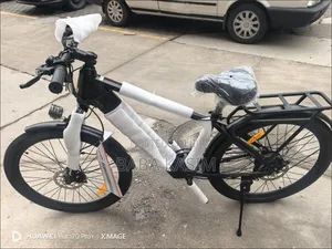 Electric Bike