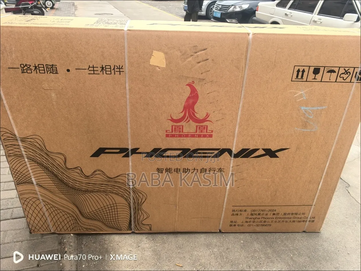 Electric Bike