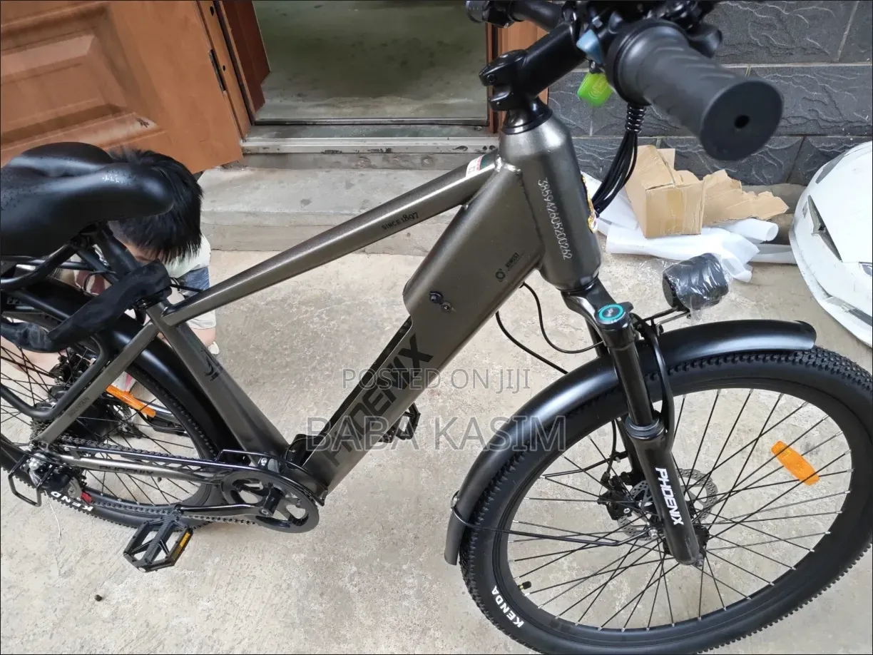 Electric Bike