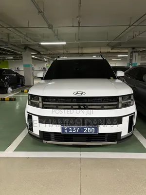 Hyundai Santa Fe 2024 White