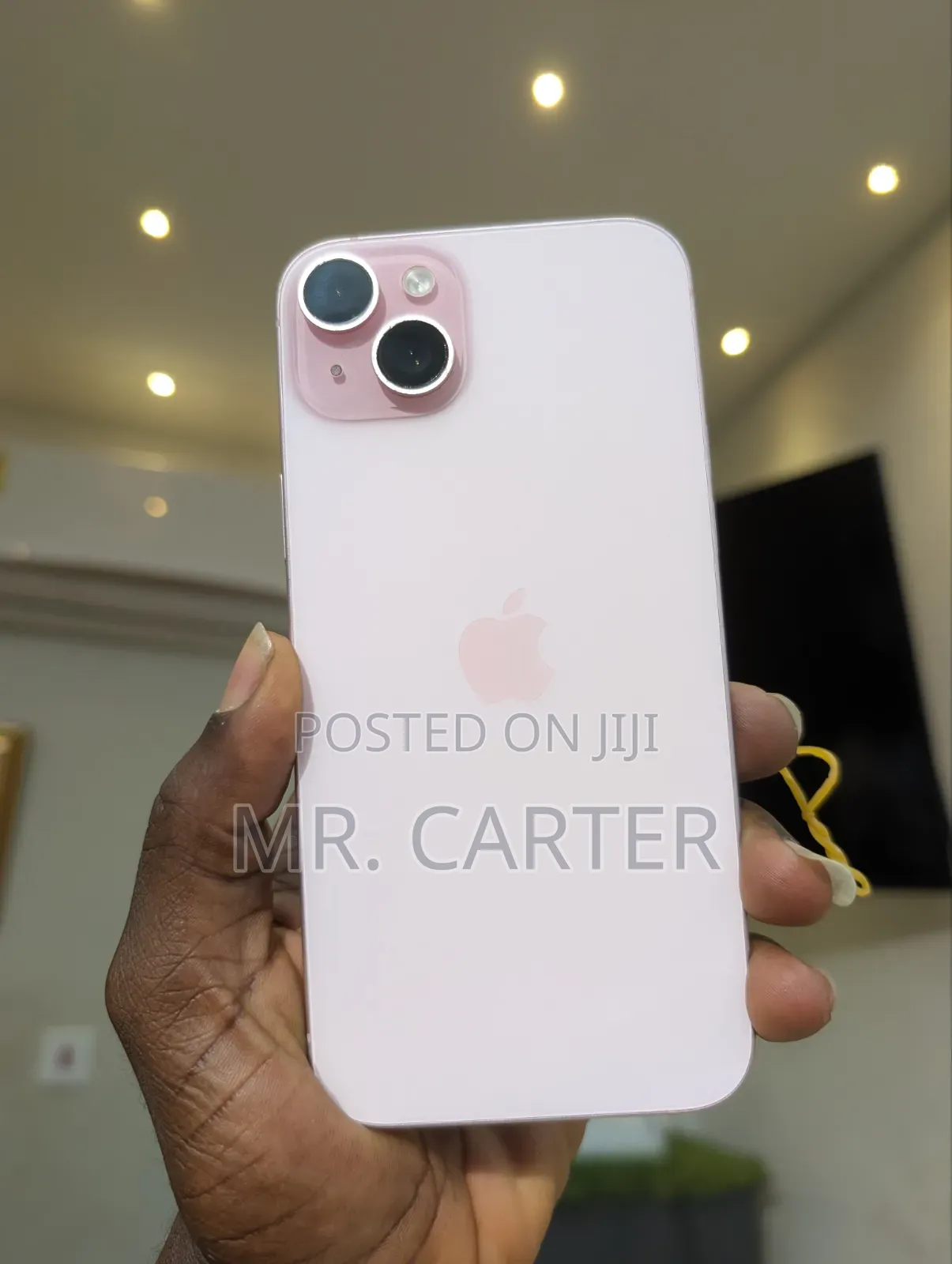 Apple iPhone 15 Plus 256 GB Pink