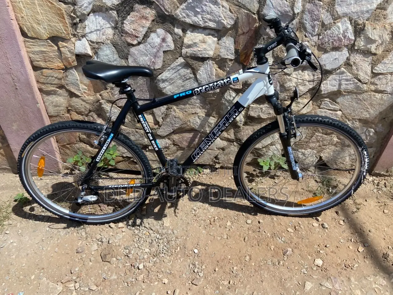 Genesis Pegasus Pro Mountain Bike