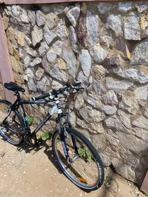 Genesis Pegasus Pro Mountain Bike