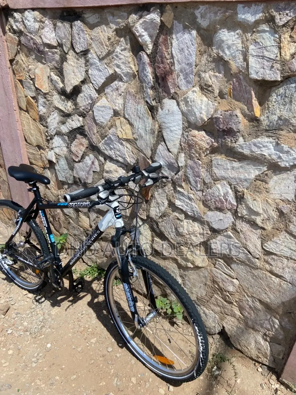 Genesis Pegasus Pro Mountain Bike