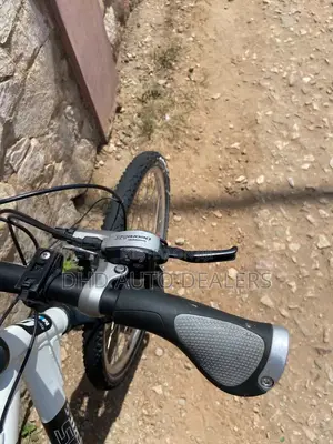 Genesis Pegasus Pro Mountain Bike