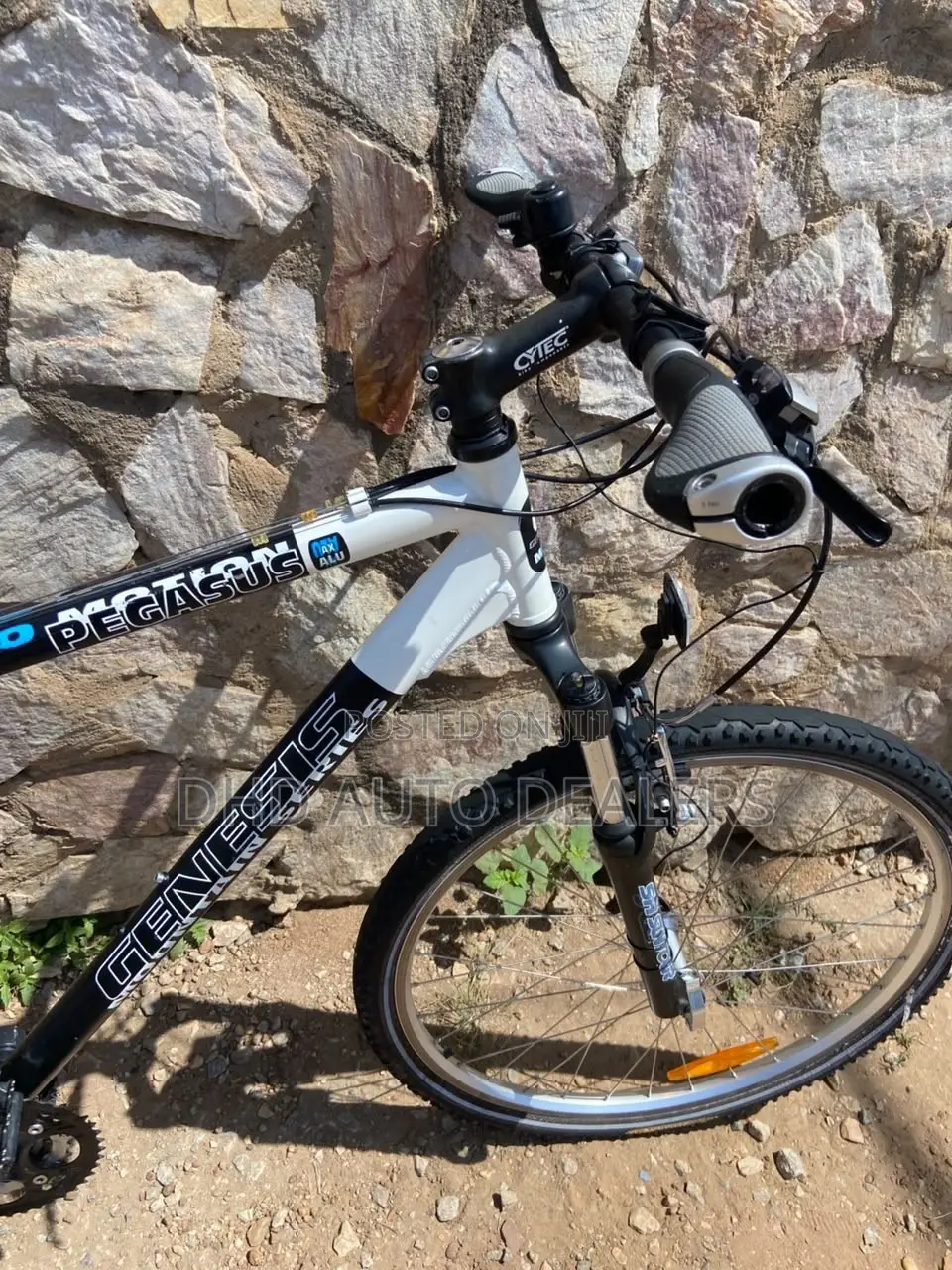 Genesis Pegasus Pro Mountain Bike