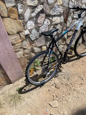 Genesis Pegasus Pro Mountain Bike