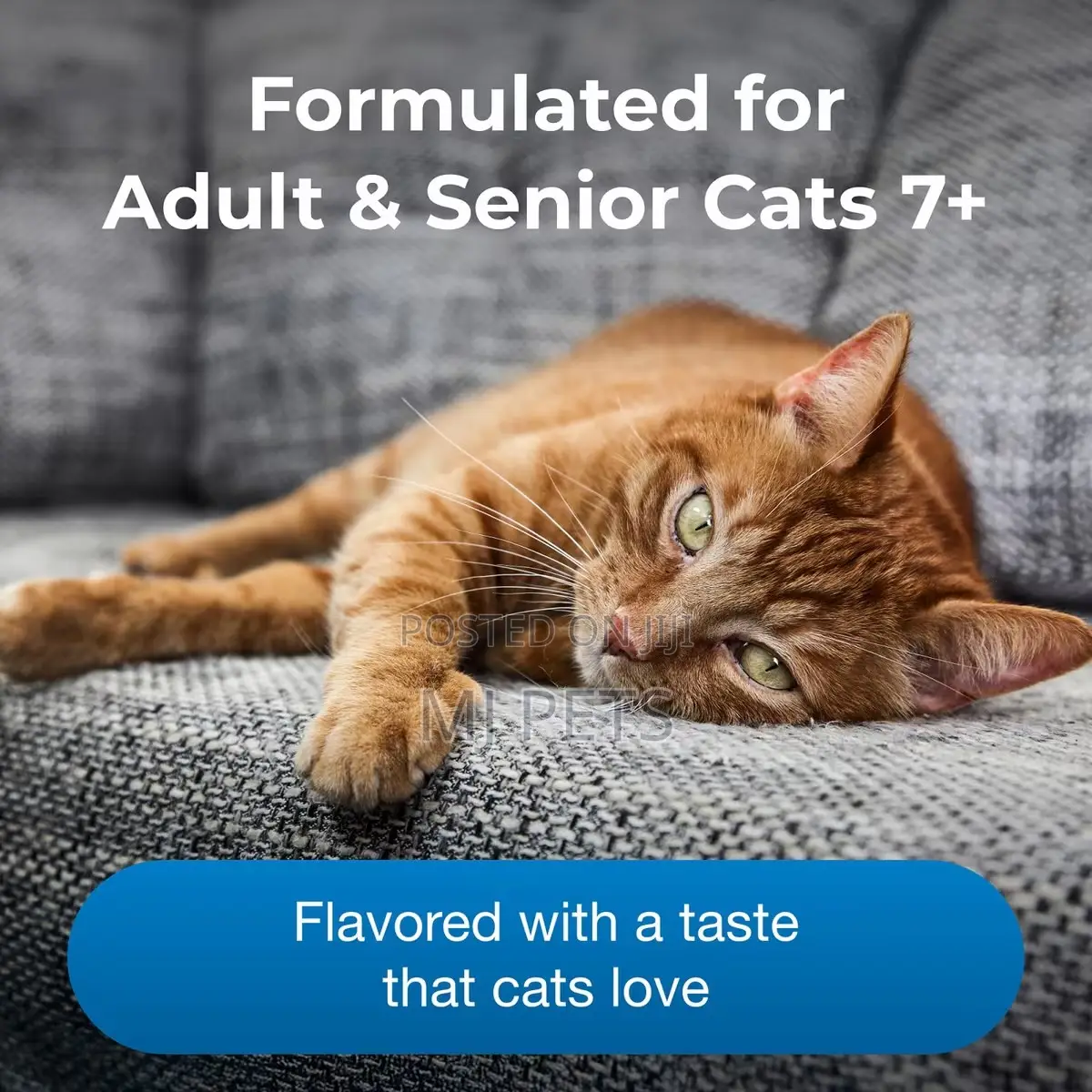 KMR Healthy Aging