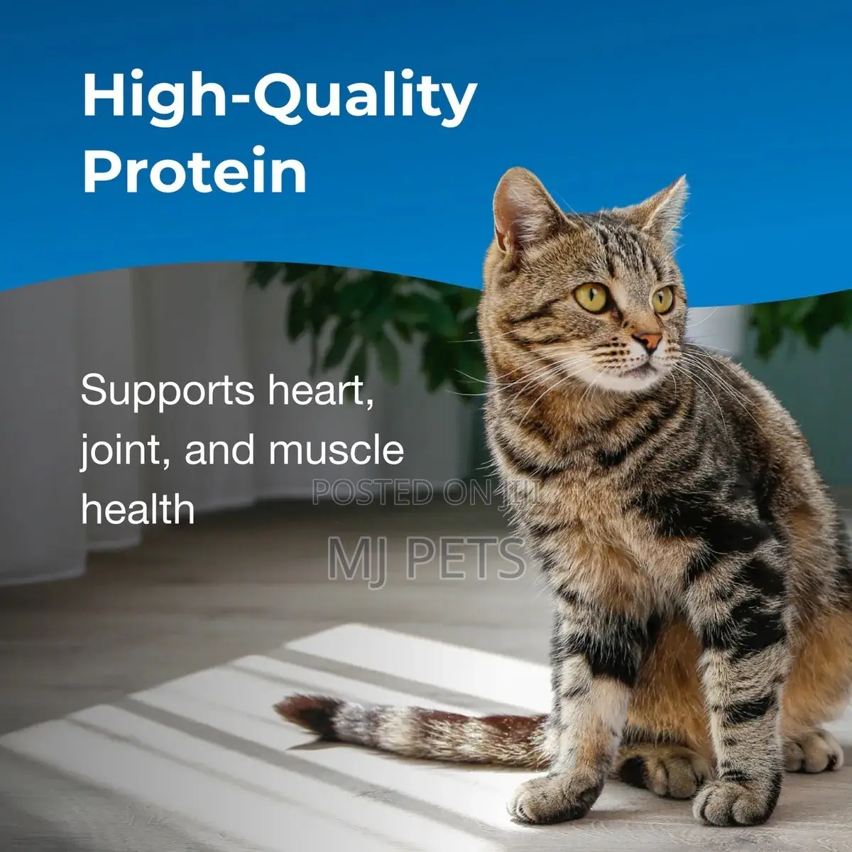 KMR Healthy Aging