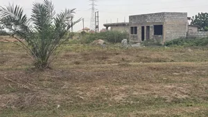 Roadside Full Plot