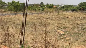 Full Plot Available for Sale