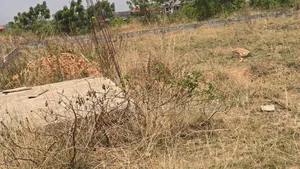 Full Plot Available for Sale
