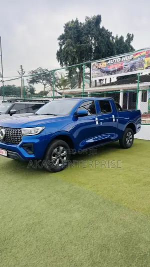 Great Wall Poer Premium 2024 Blue
