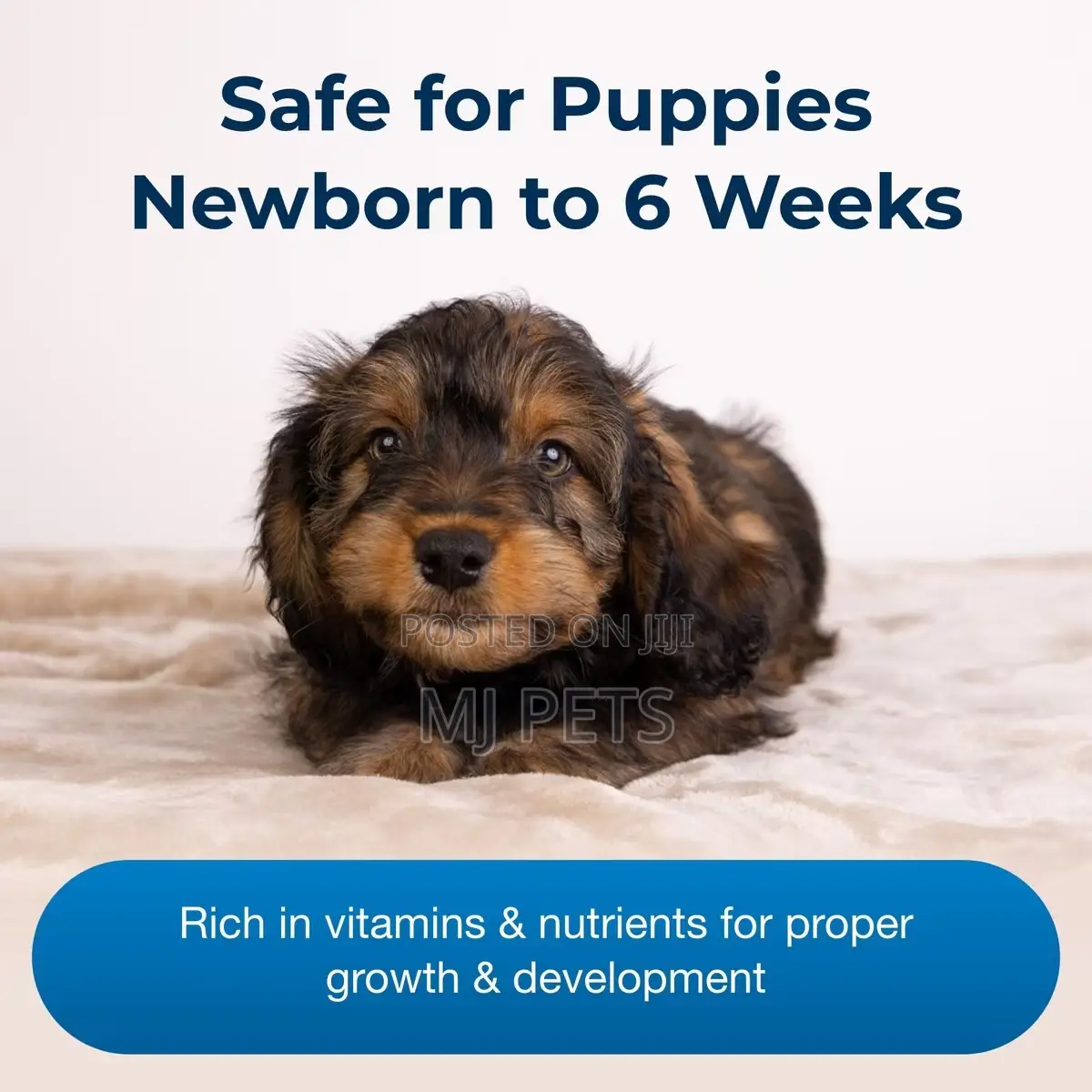 Esbilac Puppy Milk Replacer 28oz BIG FIBRR DRUM