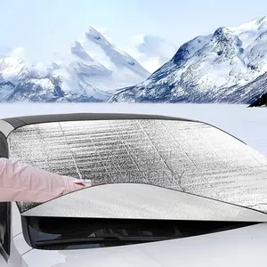 Ultimate Speed Basic Themal Windscreen Protector