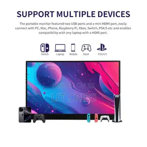 Portable Wireless Monitor -15.6 Inches
