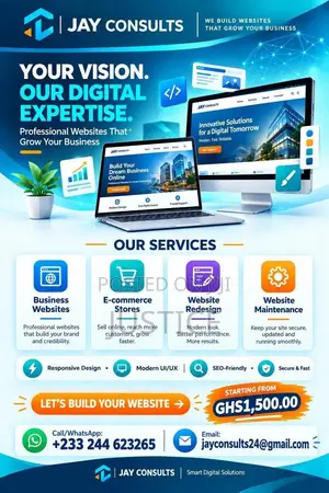 Professional Website Designer