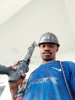 Bodyguard or Personal Guard