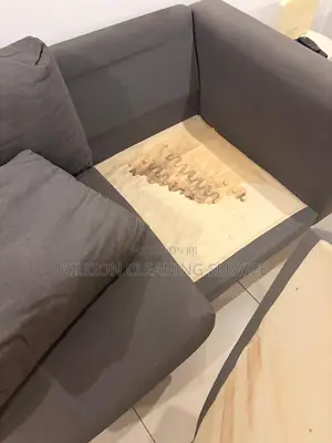 Sofa Cleaning Boss