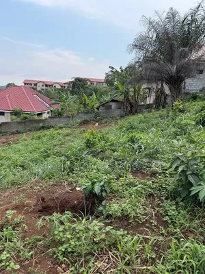 2 and Half Plots for Sale at Aburi Jamacaso