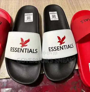 Essentials Slides