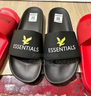 Essentials Slides