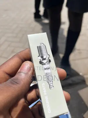 Original Nissan Plugs
