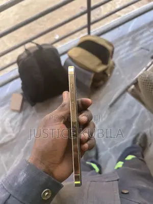 Apple iPhone 12 Pro Max 128 GB Gold