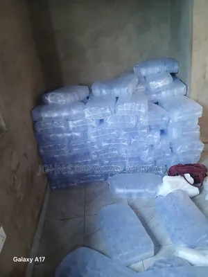 An Experienced Pure Water Bagger at Shaihills