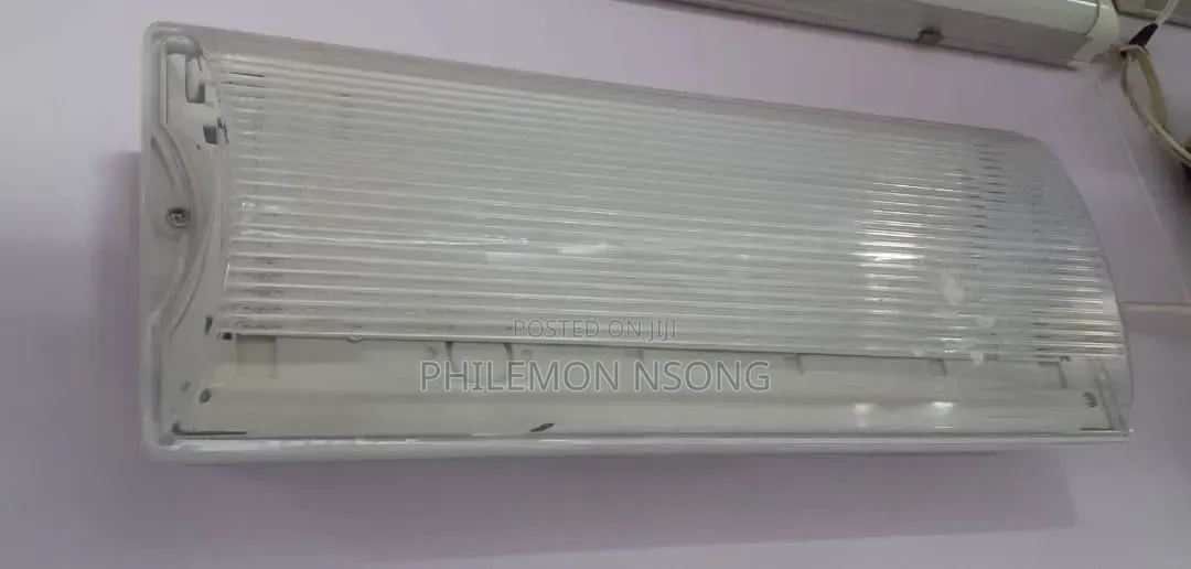 LED Emergency Bulkhead Light.