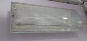 LED Emergency Bulkhead Light.