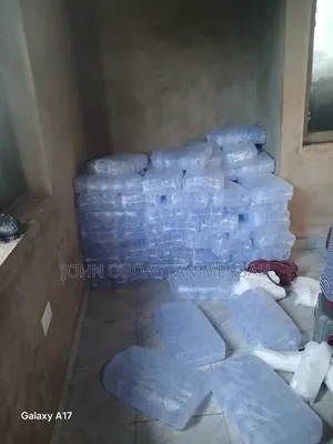 An Experienced Pure Water Bagger at Shaihills