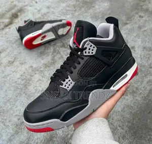 Air Jordan R4 Bred Black Red and Smoke Grey